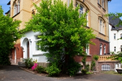 Hufelandstern_Gartenansicht